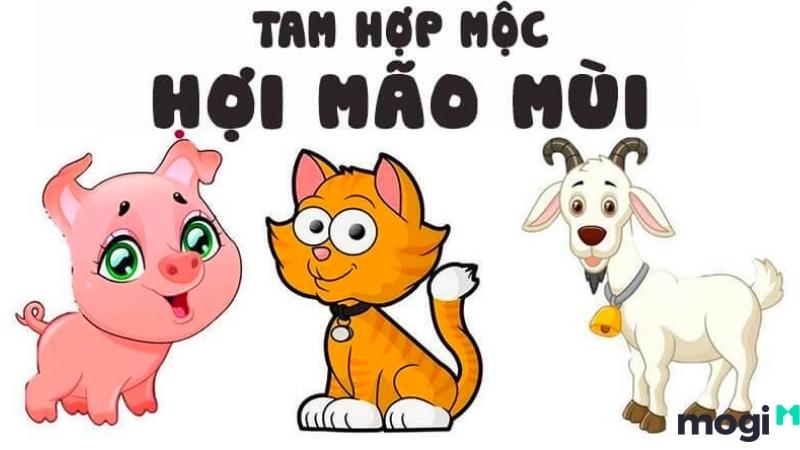 Sinh Năm 2011 Mệnh Gì? Tân Mão 2011 Hợp Với Tuổi Nào? Màu Nào?