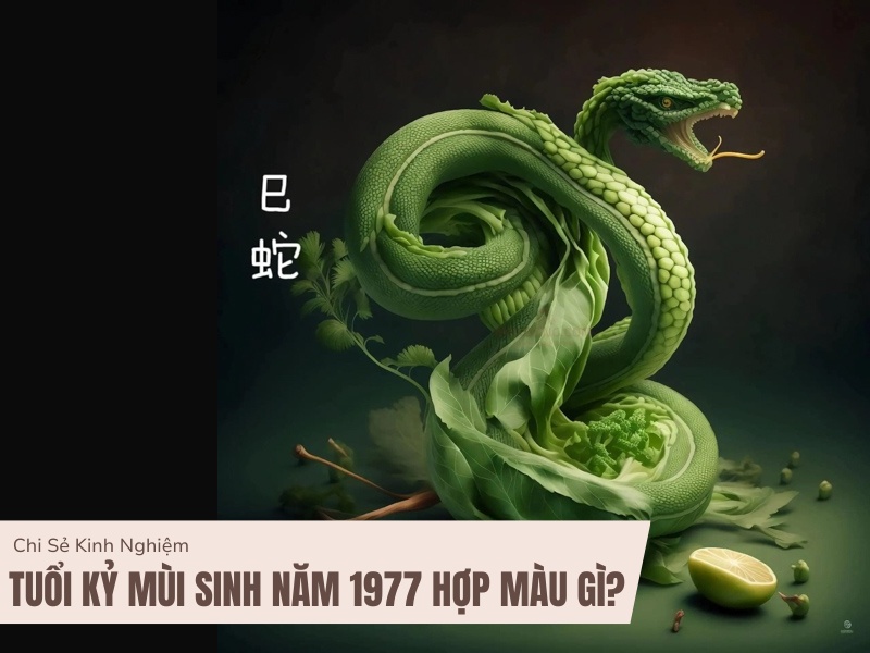 Tuổi Đinh Tỵ 1977 Mệnh Gì? Hợp Với Tuổi Gì, Hợp Màu Gì?