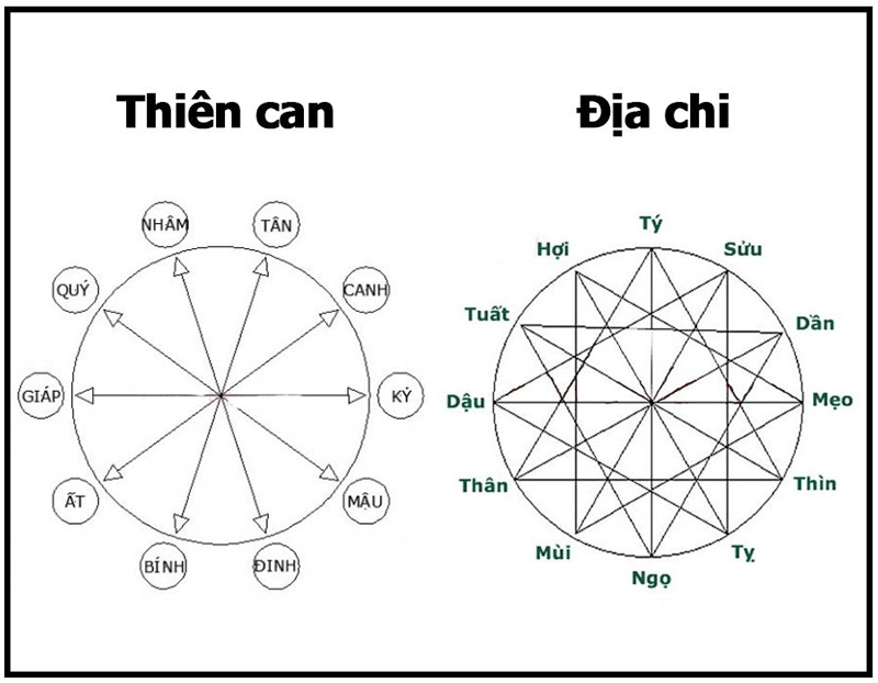 Tra cứu con giáp theo năm sinh - Cách tính tuổi Can - Chi - Ngũ Hành đơn giản